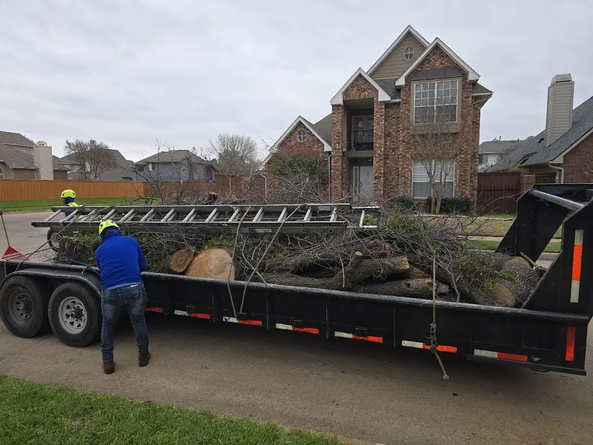 Expert Tree Fertilization with proper safety equipment in Akron